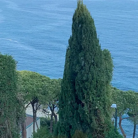 Le Paquebot Appartamento Sanremo